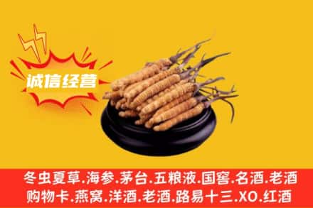 固镇县回收冬虫夏草